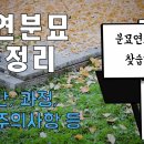 무연분묘(무연고묘) 총정리 ! [ 기간, 과정, 비용, 중요한 팁들 ] 이미지