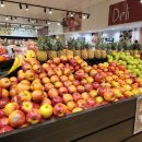 프로(311) 이미지