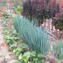 법수치여울목펜션 이미지