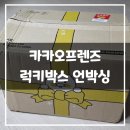럭키 | 2025 카카오프렌즈 럭키박스 언박싱 후기