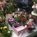 더모먼트플라워 이미지