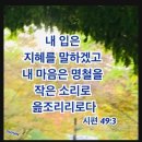 균형과감각 이미지