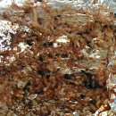 자갈치산꼼장어 이미지