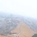 진등골 | [26년도영알7봉]5~6차간월산~신불산