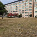 황금물결 이미지