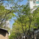 당실 | [덕수궁:석조전] 대한제국 역사관 심화 해설 PM 4:30분 예약 후기🇰🇷