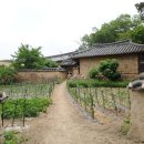 두곡마을 이미지