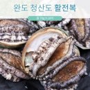 글로리아 이미지