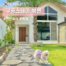 북면스테이 | 천안 풀빌라 독채숙소 구공스테이 북면 4동 할인코드 애견동반 펜션