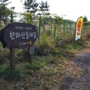 표선면-6 이미지