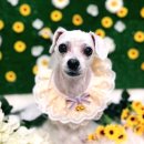 38점5도씨 이미지