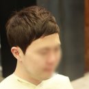 소프트올 이미지