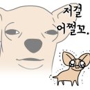 실크하우스 이미지