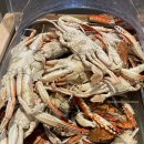 PARTY | [내돈내산] 빕스 Winter Party 다녀온 후기