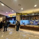 비발디파크사우나 | [홍천 여행] 소노펠리체 비발디파크 내돈내산 | 체크인 대기 꿀팁| 실내 수영장 사우나 솔직후기