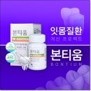 티움 이미지