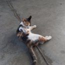 박문주유소 이미지