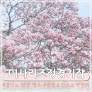 경정장후문 | 서울근교 경기도 벚꽃 미사리 벚꽃 포인트 꿀팁 미사리조정경기장 주차정보 쉼터매점 후기