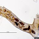 (주)바이오비 이미지