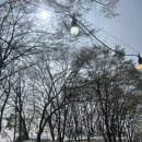 진위서로 | 진위 소풍동물원 진위플레이그라운드 후기