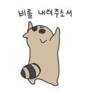 쌍둥이돼지국밥 본점 네이버블로그