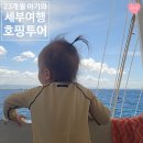 뚜비네과일 | 23개월 아기와 세부 호핑투어 후기 :: "암스테르담 호핑투어", 아기와 필리핀 세부 여행 내돈내산 찐후기~!