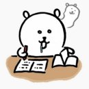 성림자동차운전전문학원