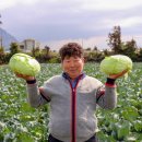 김세종농장 이미지