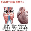 종아리 마사지의 효과 이미지