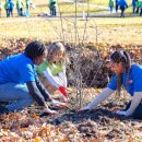 느릅나무가든 이미지