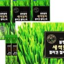 천일여인숙 이미지