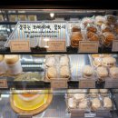 LAS(라스) 이미지