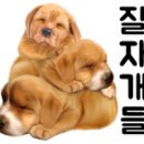 더파티아이 목화점 이미지