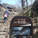 고래창고 울진점 | 4월 상춘여행(안동,영덕,울산,양산여행)