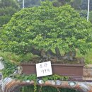 두꺼비농장 이미지