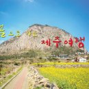 오리엔탈렌터카(주) 이미지