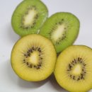 은혜농장2 이미지