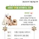 완도네시아 이미지