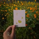 천마주유소 | 아이와 함께 즐기는 노원 달빛 산책 – 작품, 스탬프 투어, 힐링 축제