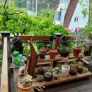 월류봉 한천민박 이미지