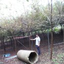 최창영농장 이미지