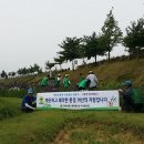 새마을로-1 이미지