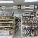 라운지 도그 이미지