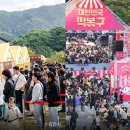 올레캠프알파캠프 | 2026년 4월 트렌드