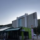 소노조명 | 비발디파크 소노캄 룸 업그레이드 후기