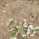 우림농원 이미지