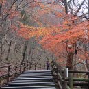 마이산콘도빌 | [100대 명산] 진안 마이산 최단코스 산행 – 진안가위박물관 옆 마이산콘도빌에서 암마이봉 왕복 (11/21)