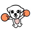 가좌복싱 이미지