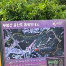 무봉산둘레길 | 동탄 무봉산 D코스 등산 후기｜혈당 관리에 좋은 주말 운동 (feat. 쭈꾸미잘하는 집)