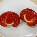 보아농장 이미지